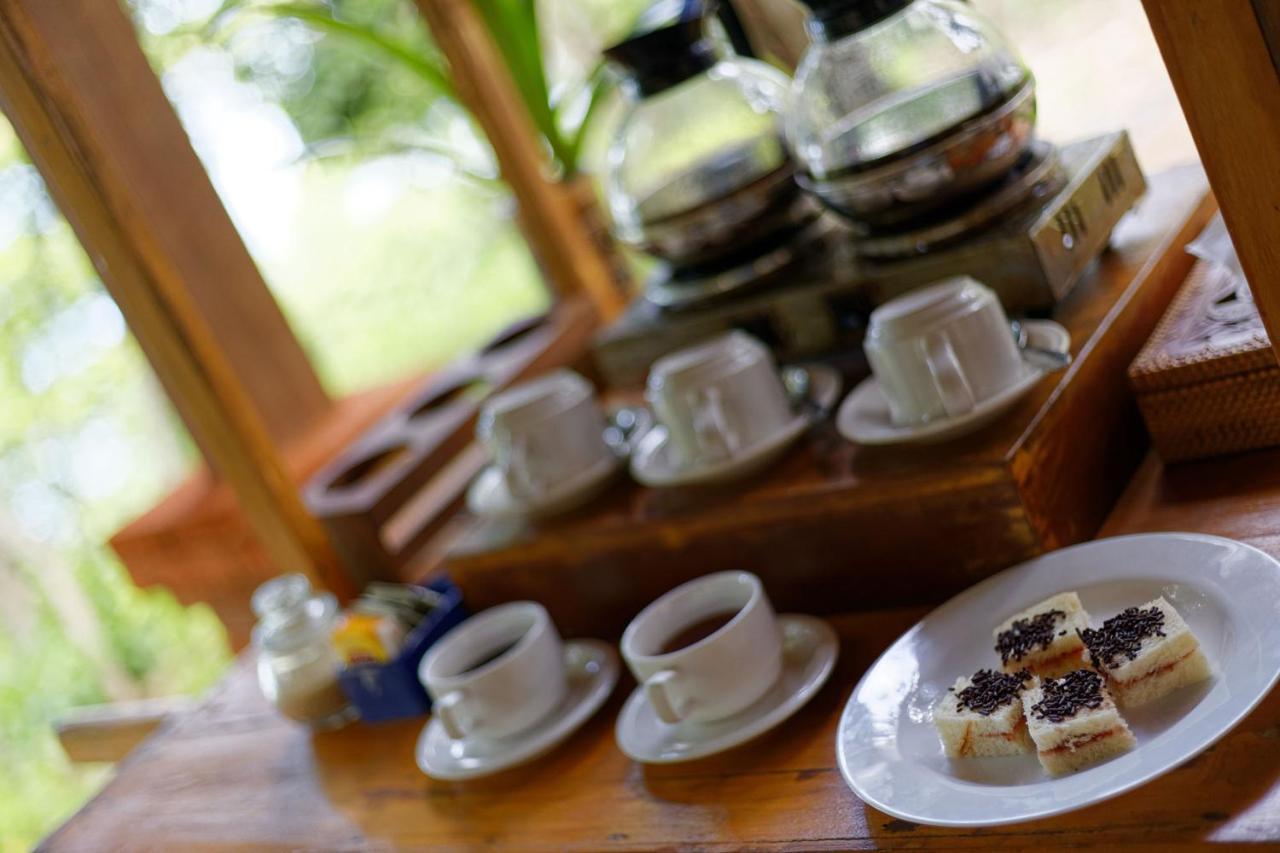 Menjangan Ecolodge - Chse Certified Banyuwedang Buitenkant foto