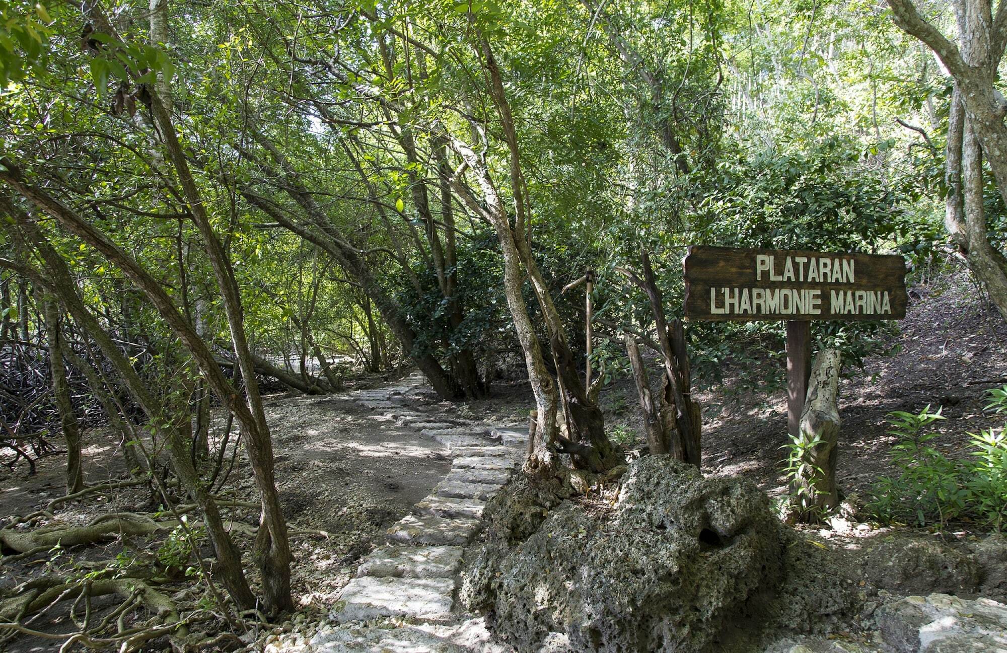 Menjangan Ecolodge - Chse Certified Banyuwedang Buitenkant foto