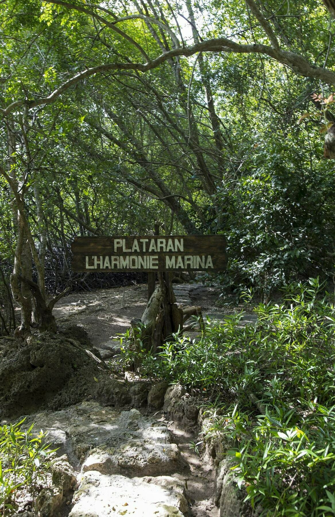 Menjangan Ecolodge - Chse Certified Banyuwedang Buitenkant foto
